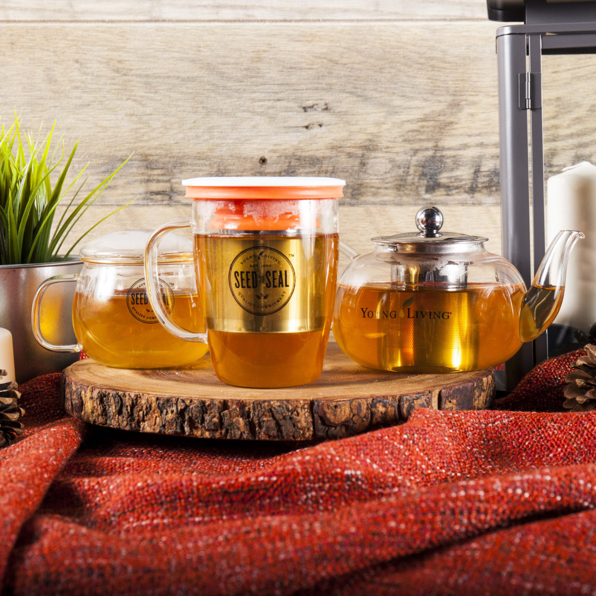 young living cups and tea pots
